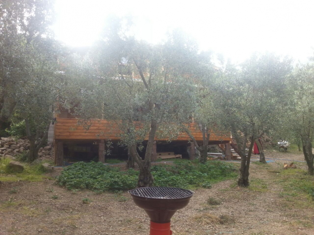 UÇMAKDERE �DE 85 M2 AHŞAP ÇİFTLİK EV BULUNAN 1325 M2 ARAZİ GİZLİ EMLAK